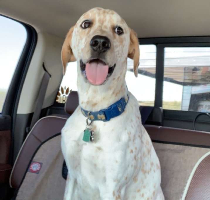 Photo of Cooper