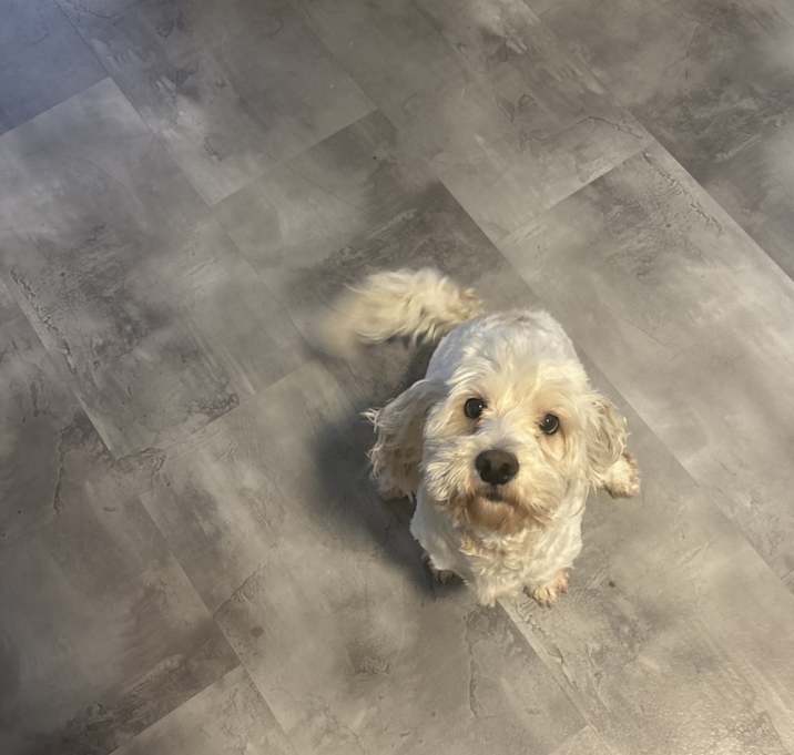 Photo of Rizzo