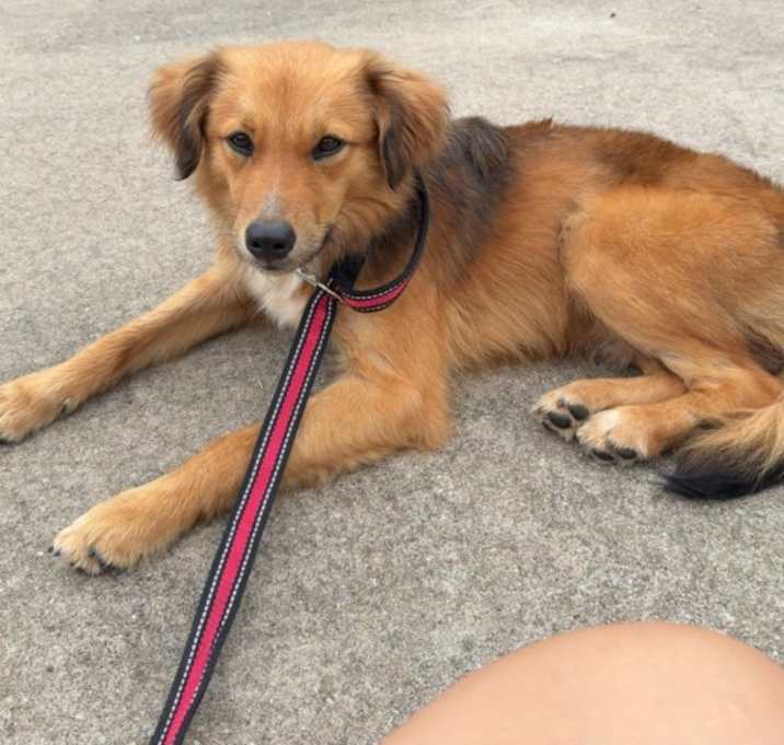 Photo of Todd