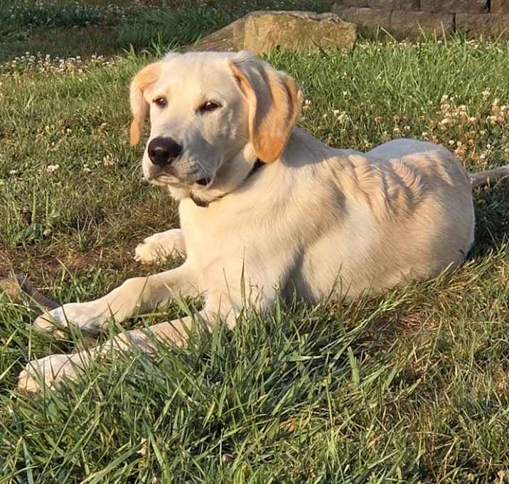 Photo of Duke