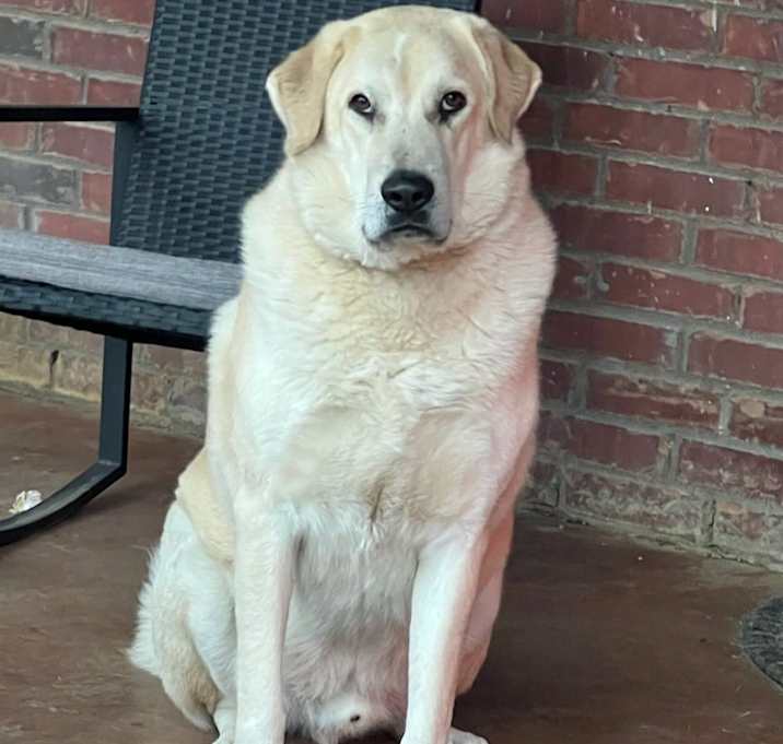 Photo of Charlie