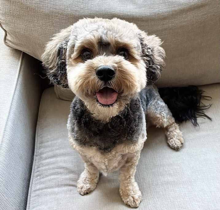Photo of Leo