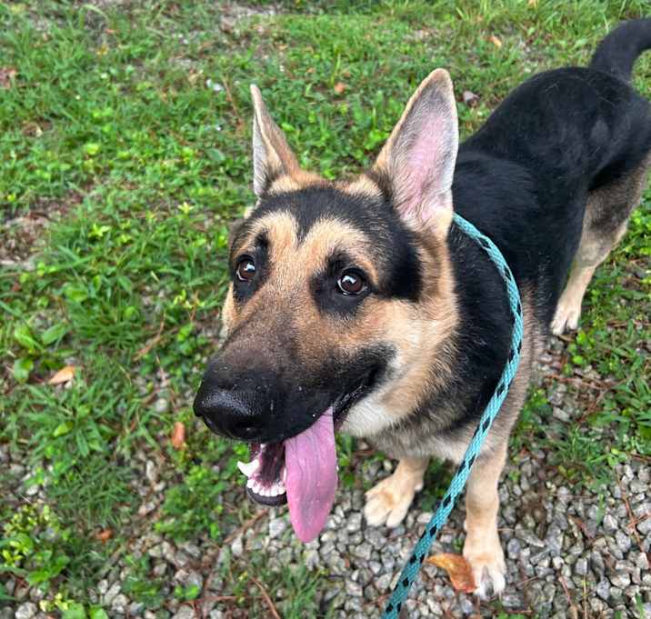Photo of Ace Newshound