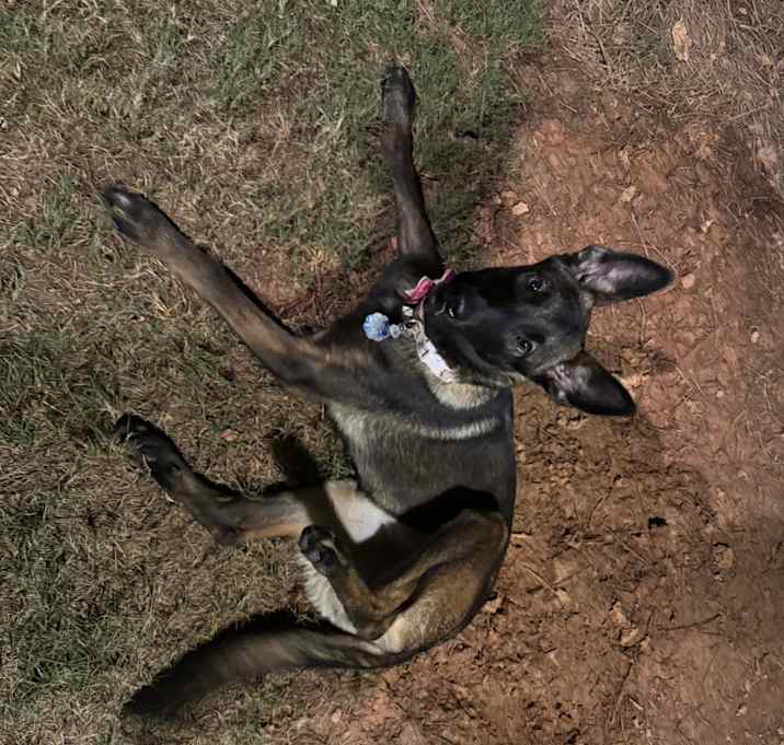 Photo of Lexxi
