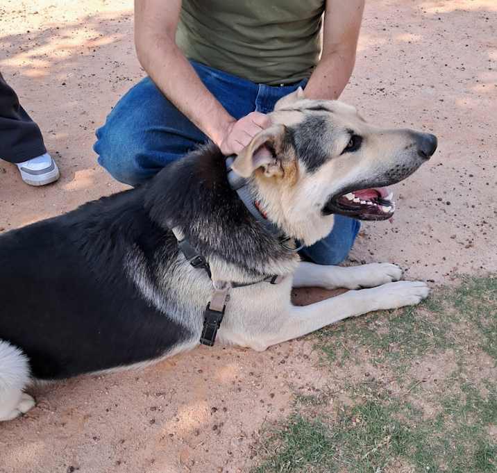 Photo of Max