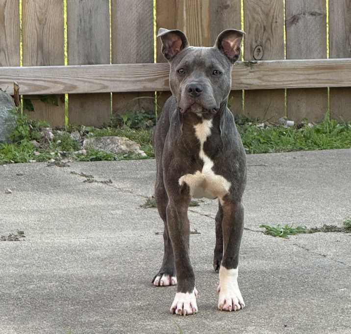 Photo of Flick