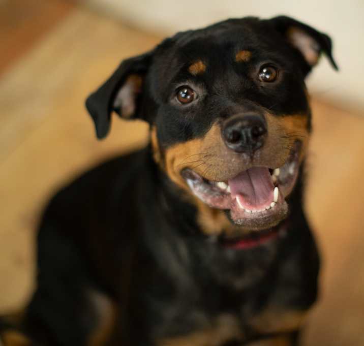 Photo of Gonza
