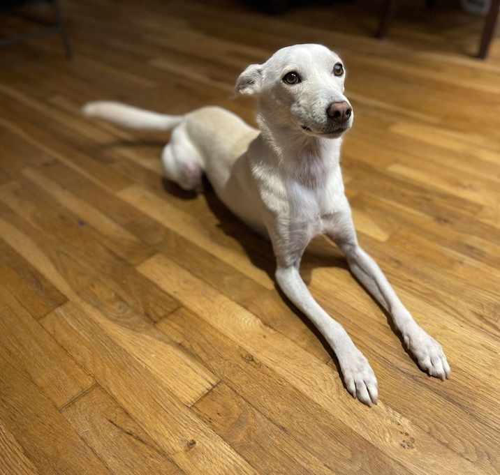 Photo of Winnie