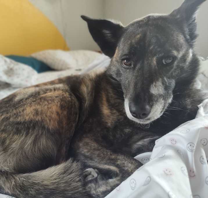 Photo of Navi