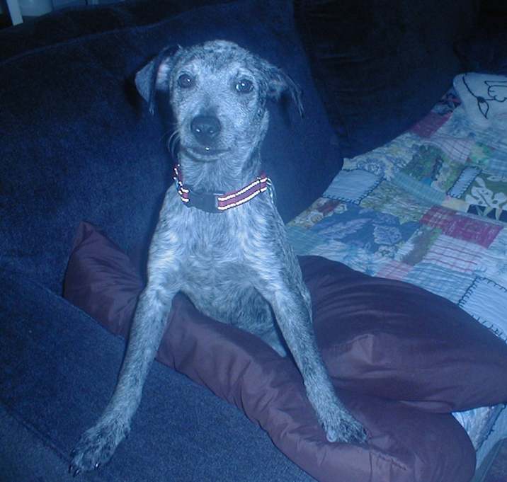 Photo of Andy