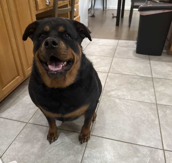 Photo of Daisy