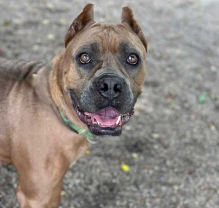 Photo of Keisha