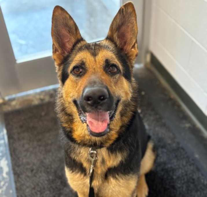 Photo of Nova