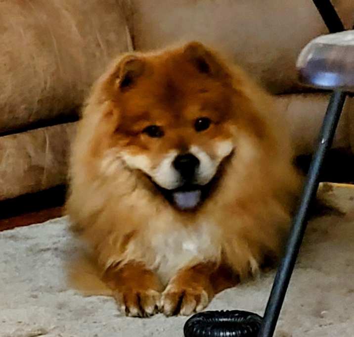 Photo of Sir