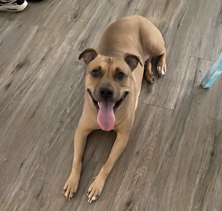 Photo of Bella