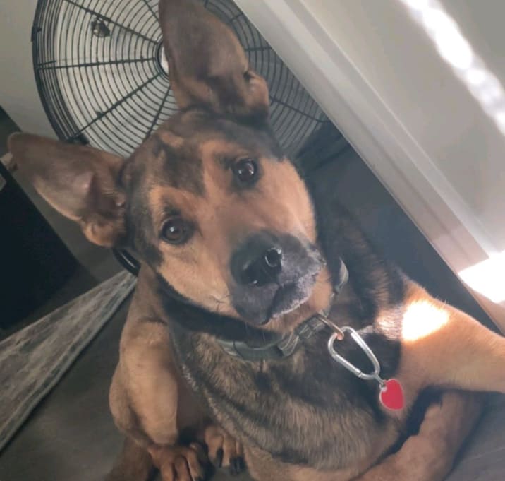 Photo of Mr. Major 