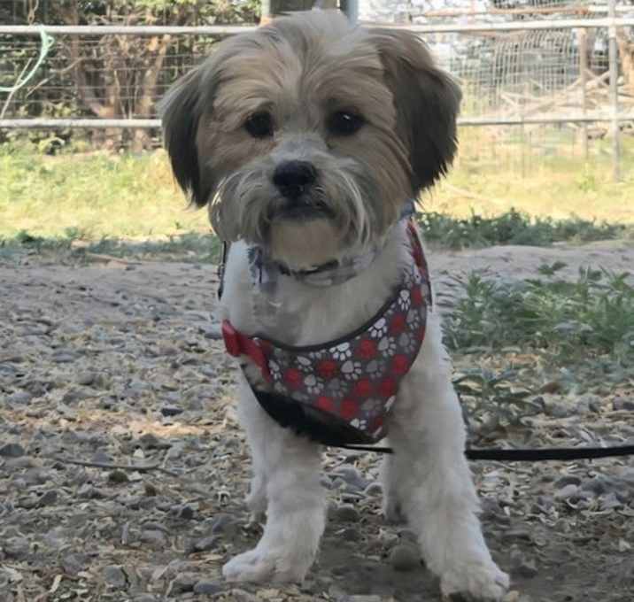 Photo of **ROCKY