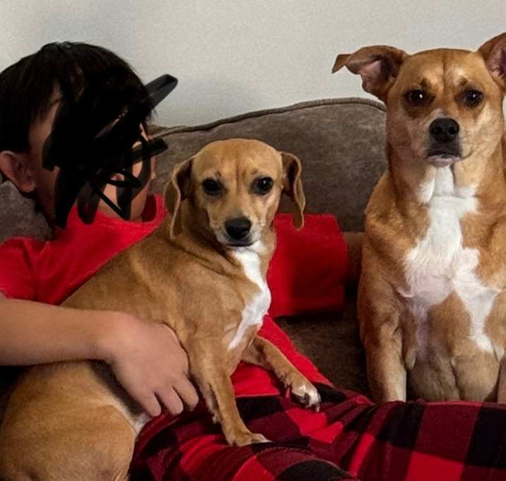 Photo of Chewy&Lacey