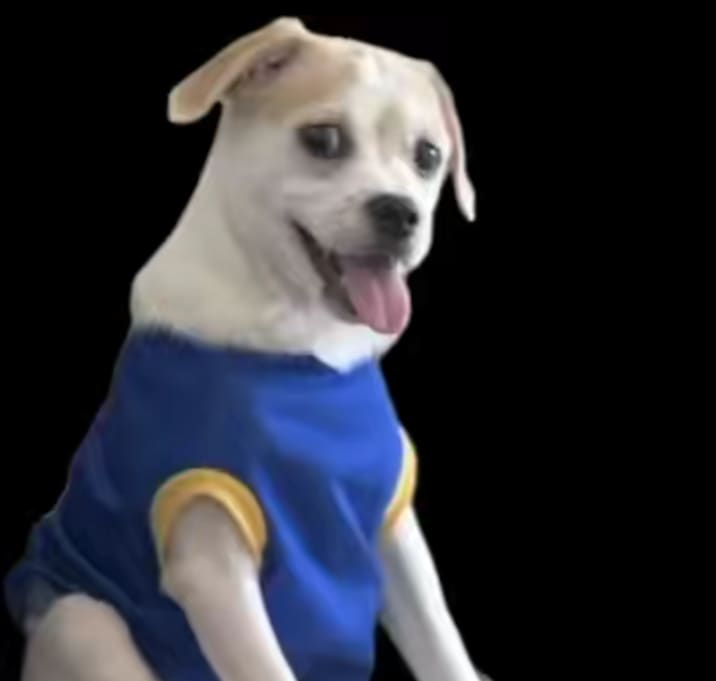 Photo of Rocky