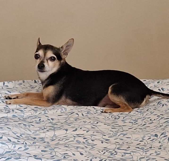 Photo of TUKO