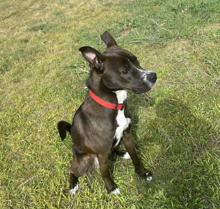 Photo of Levi