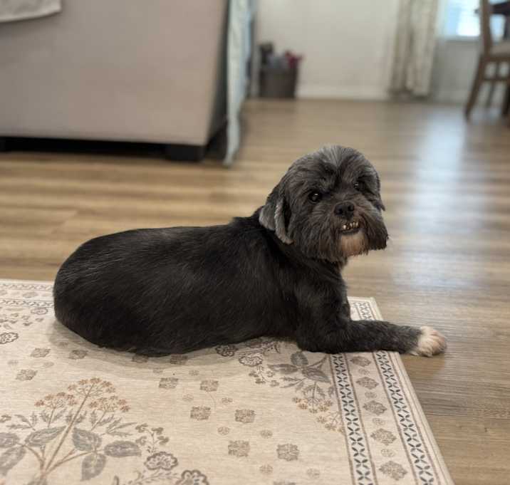 Photo of Dani
