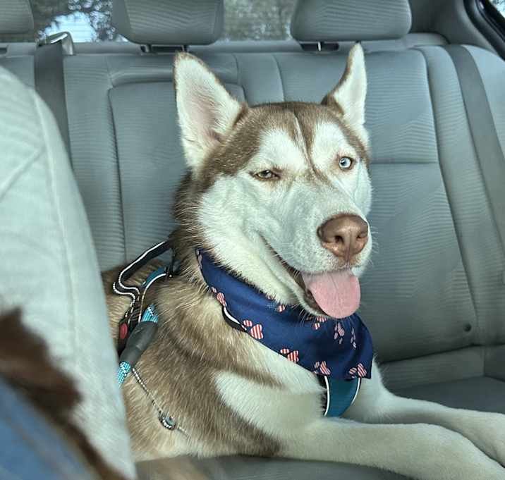Photo of Max