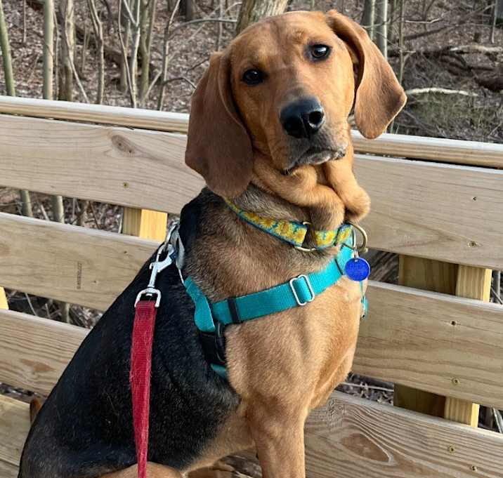 Photo of Carlie-In a Foster Home