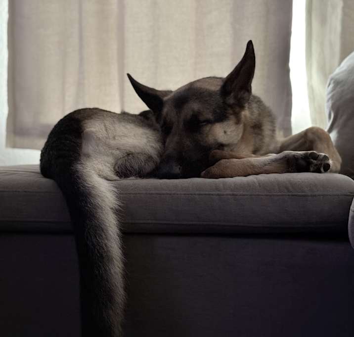 Photo of Zeus