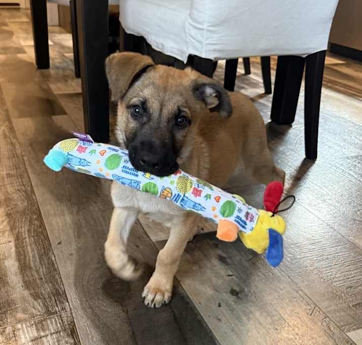 Photo of Theo
