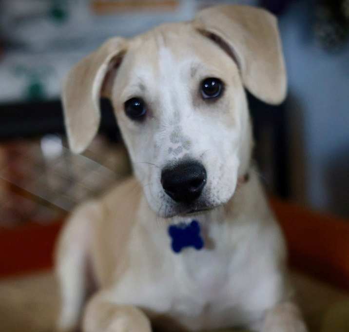 Photo of Katie