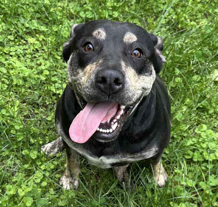 Photo of Nellie