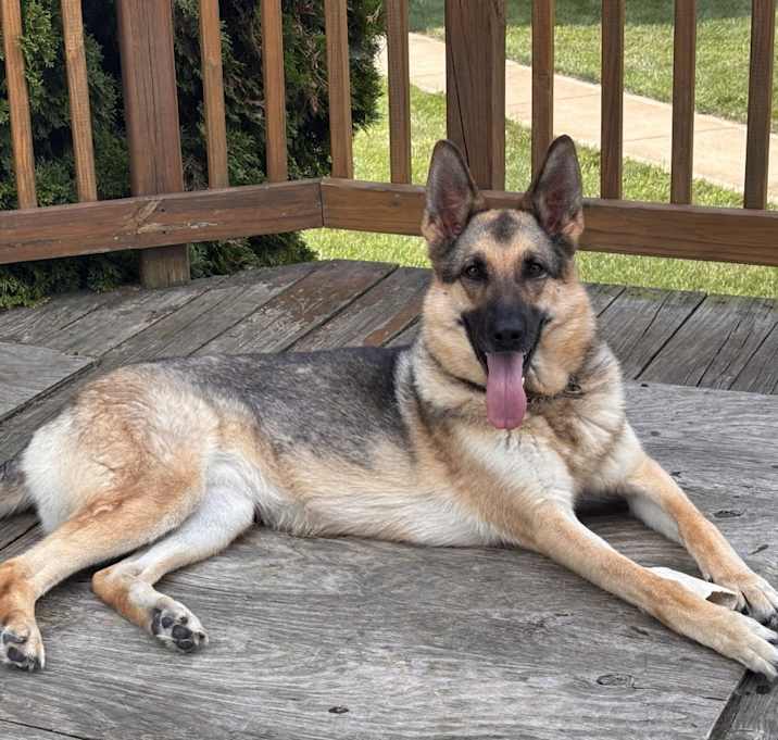 Photo of Roxy