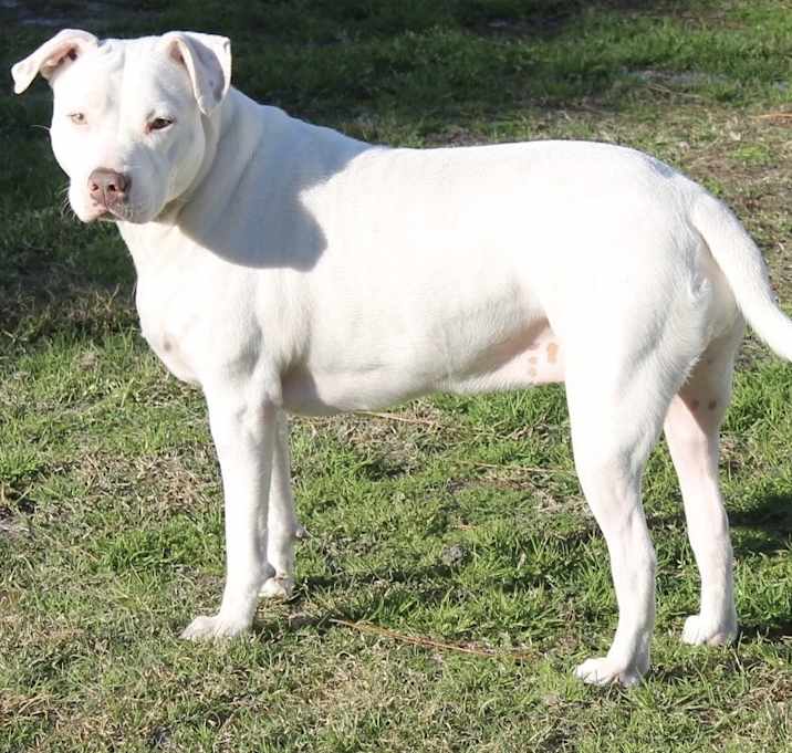 Photo of GLORYY