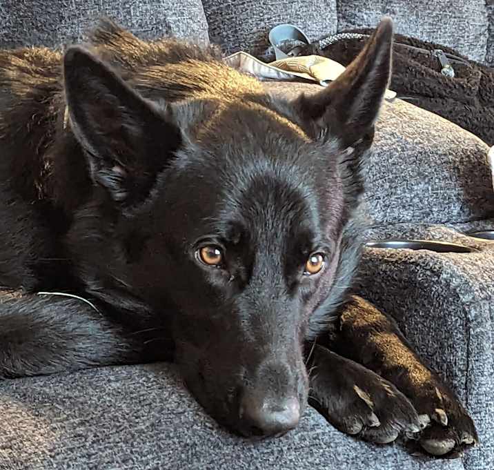 Photo of Nyx