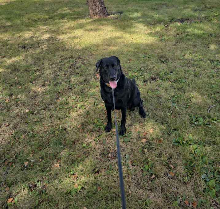 Photo of Winnie