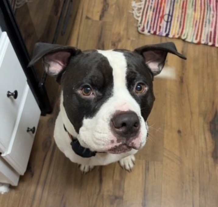 Photo of Squirt