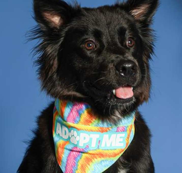Photo of STELLA