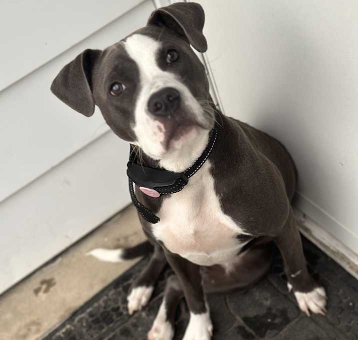 Photo of Diamond