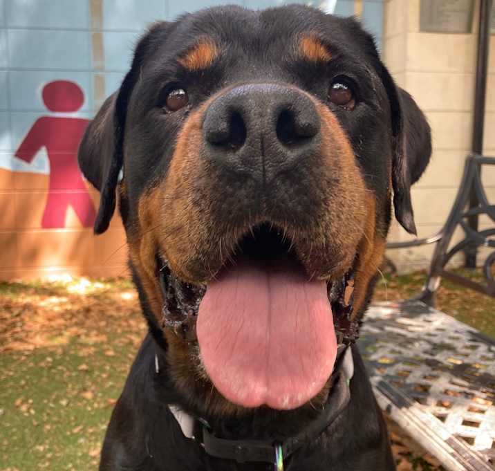 Photo of Storm