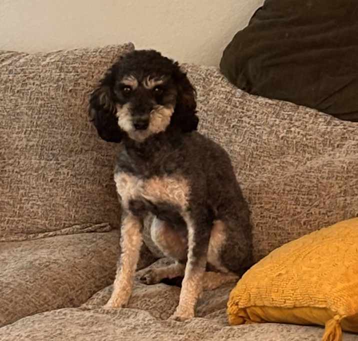 Photo of Lenny