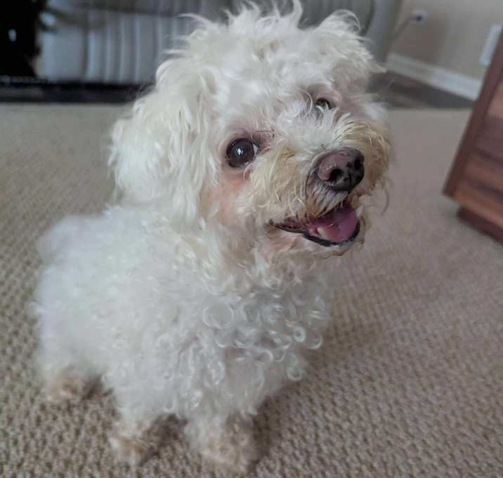 Photo of Moana