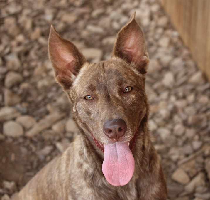 Photo of Jenny (Ellie)