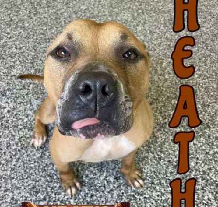 Photo of Heath