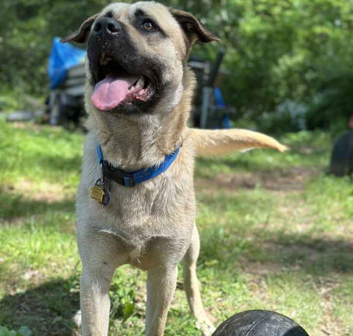 Photo of LuLu