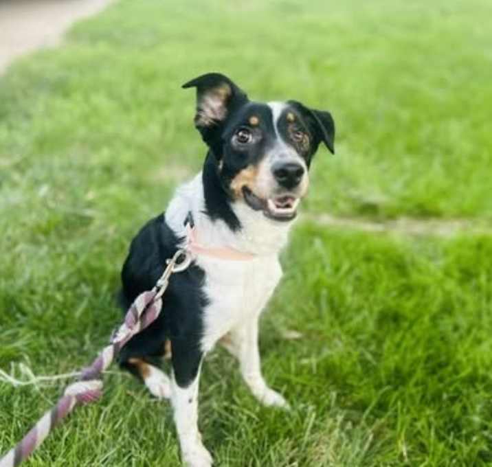 Photo of Ivy 