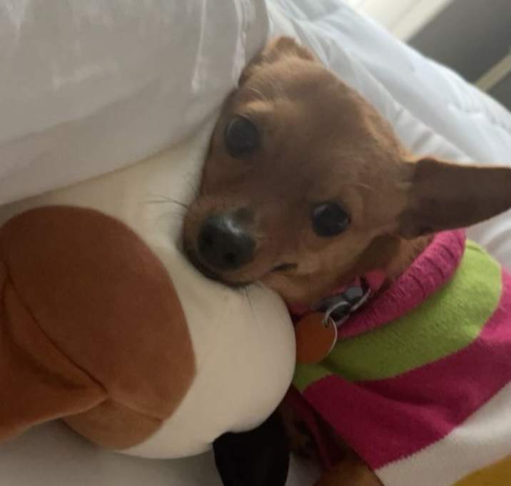 Photo of Lulu