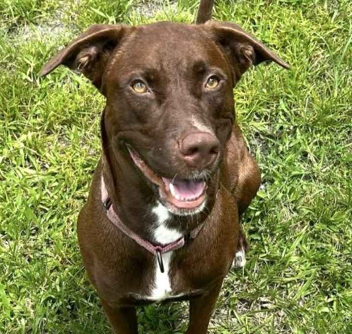 Photo of Betsy