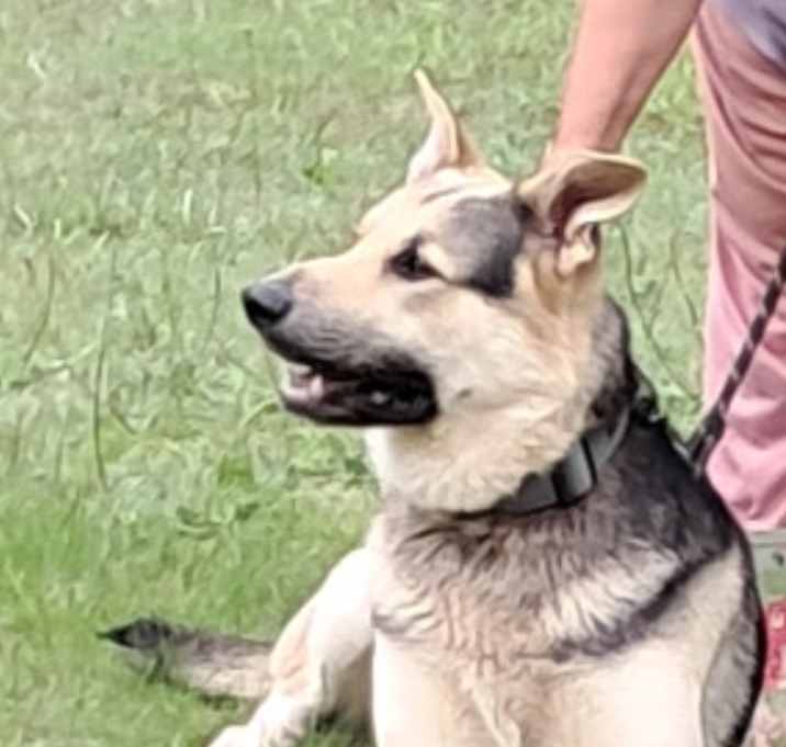 Photo of Max