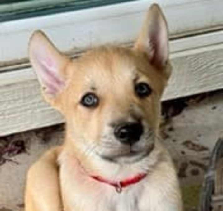 Photo of Colter